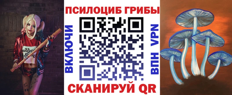 наркота  блэк спрут ССЫЛКА  Галлюциногенные грибы Psilocybine cubensis  Таштагол 